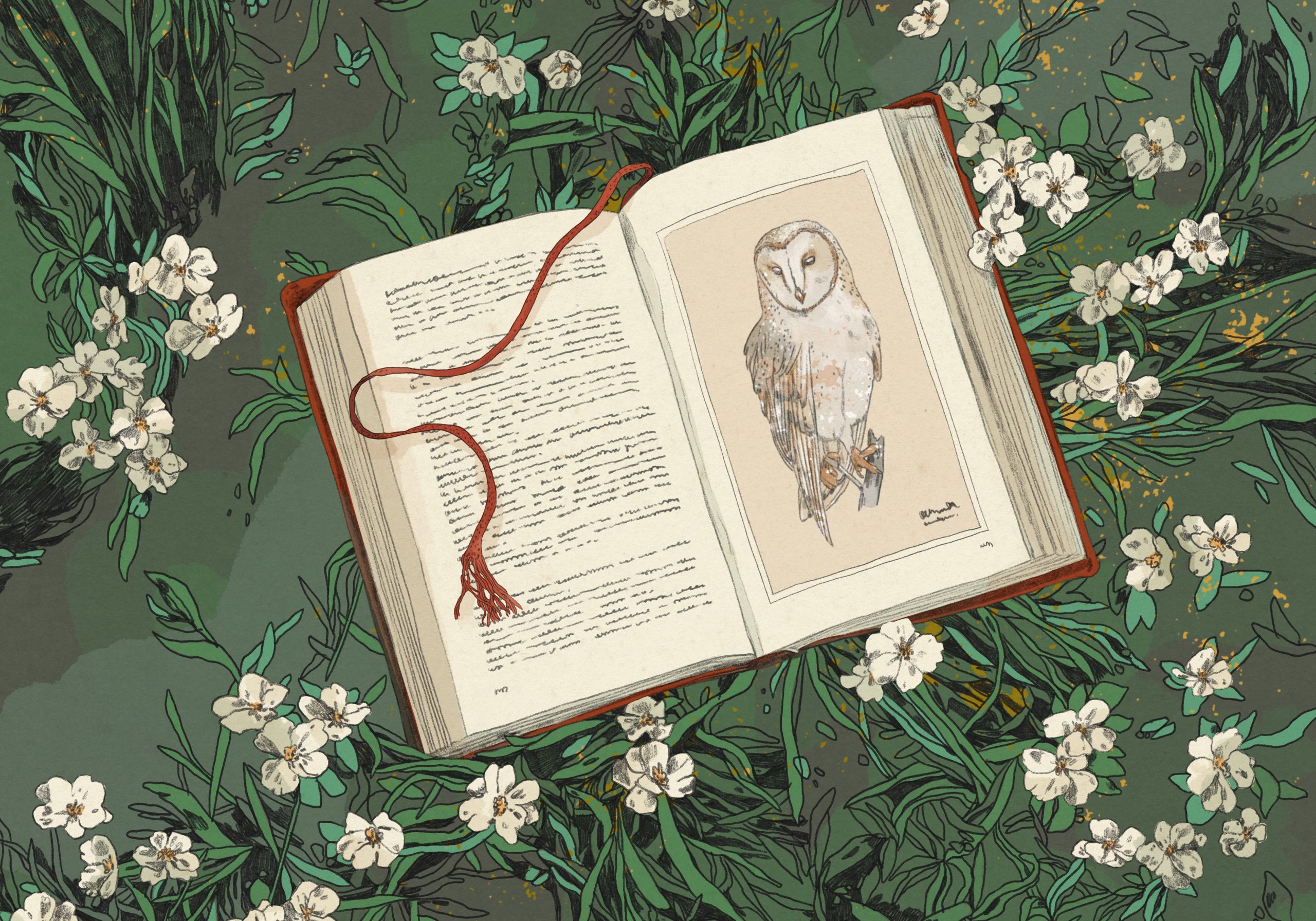 Beitragsillustration Buchillustration für den Lektoratsdienst Noctua Lektorat: Ein Buch mit der Illustration einer Eule liegt auf einer Graswiese