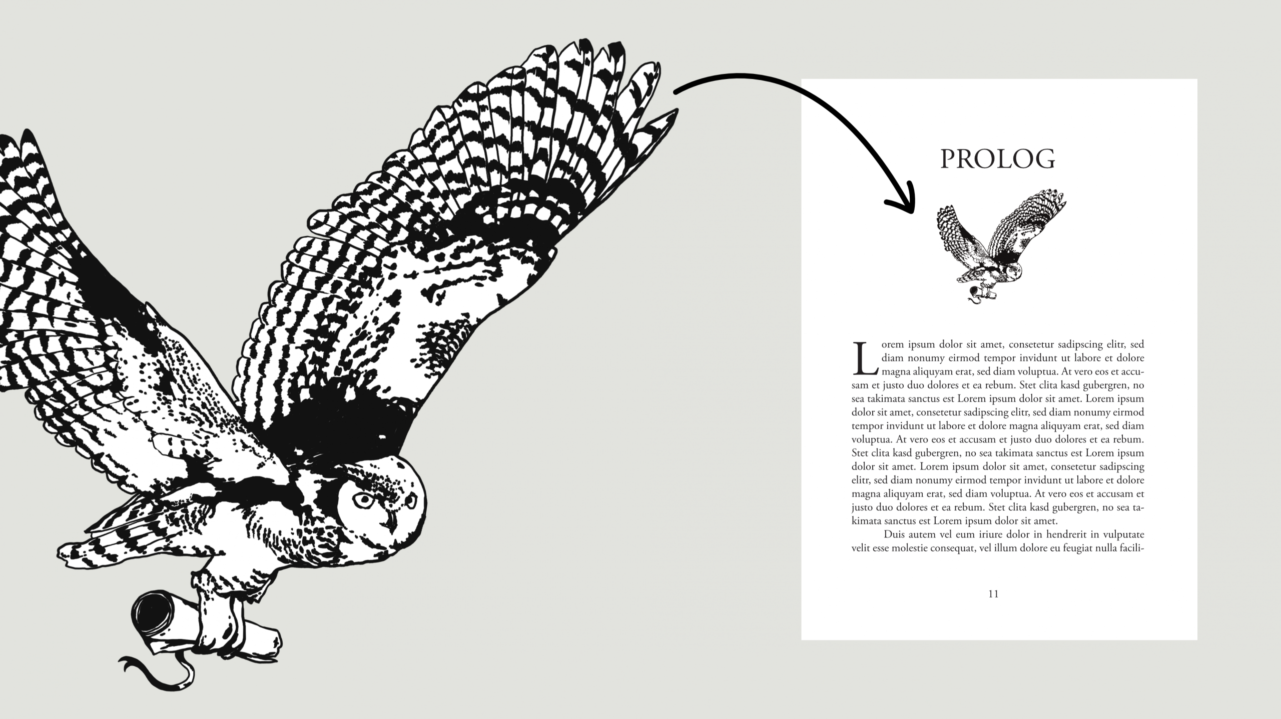 Beispielbild einer Buchillustration (Vignette) für den Innenteil eines Buchs für den Lektoratsdienst Noctua Lektorat