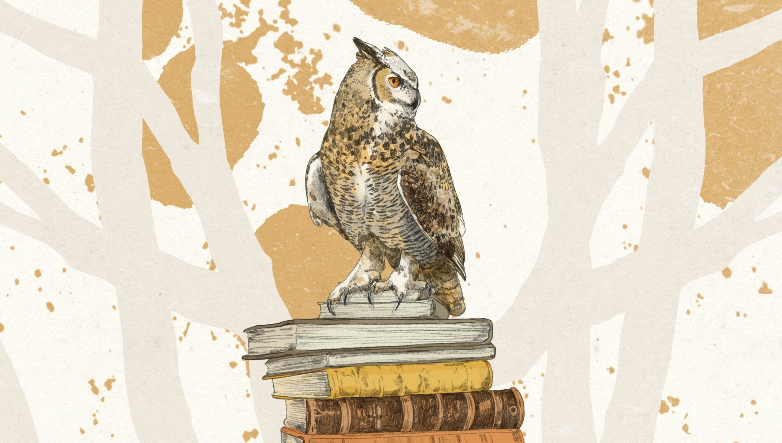 Beitragsillustration für die Seite "Lektorat & Korrektorat" des Lektoratsdiensts "Noctua Lektorat": Eine Eule hockt auf einem Bücherstapel