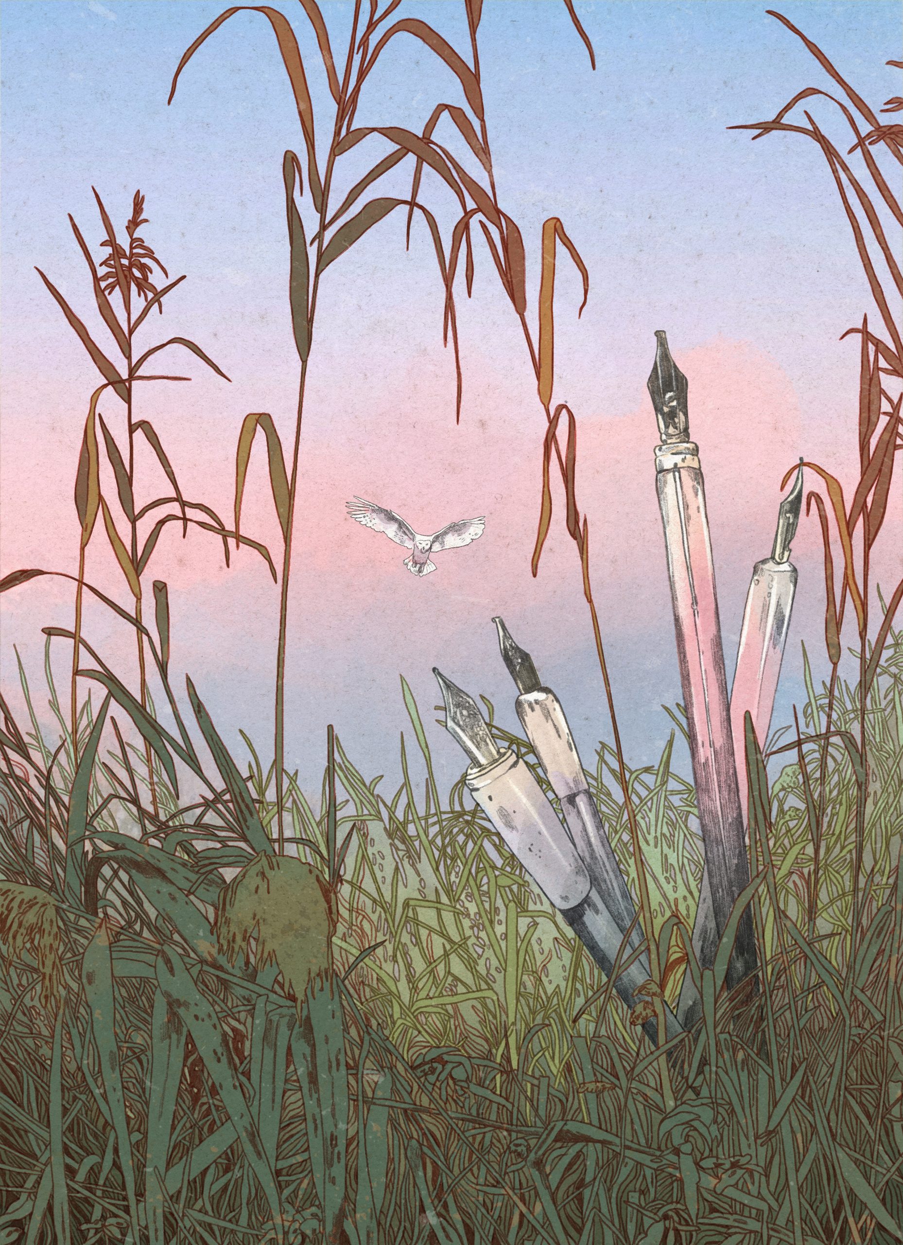 Beitragsillustration Bewerbung bei Verlagen und Literaturagenturen für den Lektoratsdienst Noctua Lektorat: Eine weiße Eule fliegt über eine Graslandschaft, aus der Federkiele wachsen